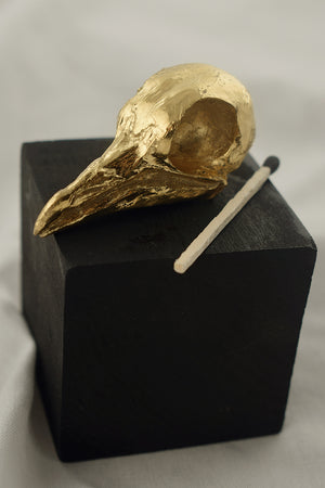 23k gold gilded pigeon skull